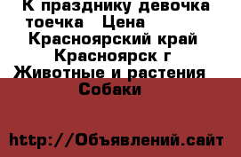 К празднику девочка тоечка › Цена ­ 7 000 - Красноярский край, Красноярск г. Животные и растения » Собаки   